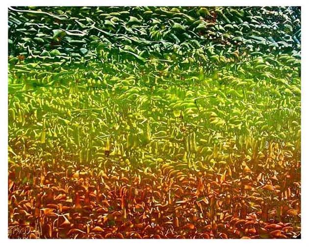 Multidimensional Exhibitions 
www.Museum.LA Los Angles California