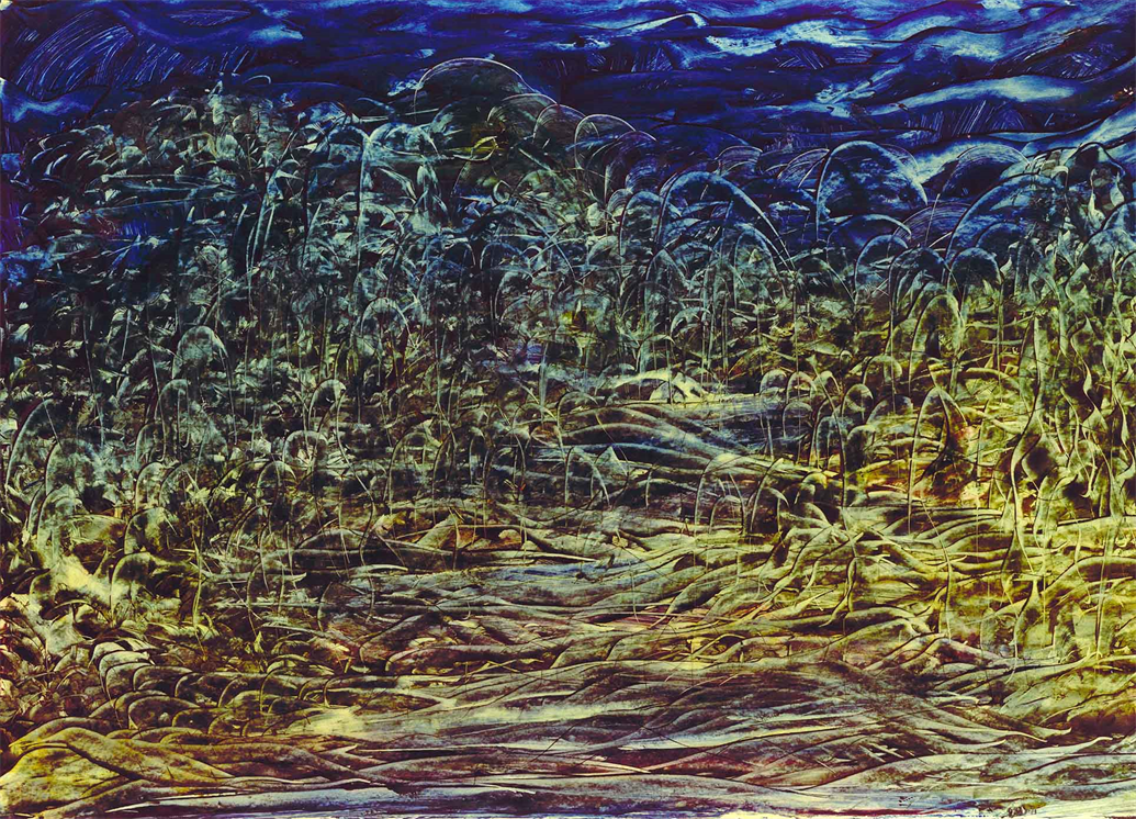 Multidimensional Artist