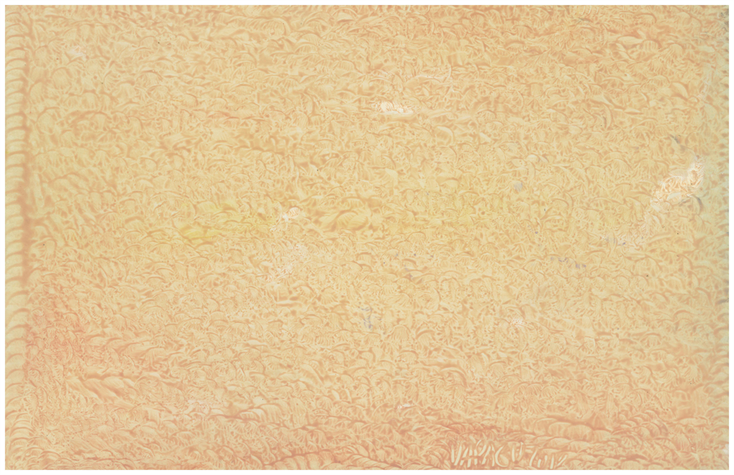 Multidimensional Artist