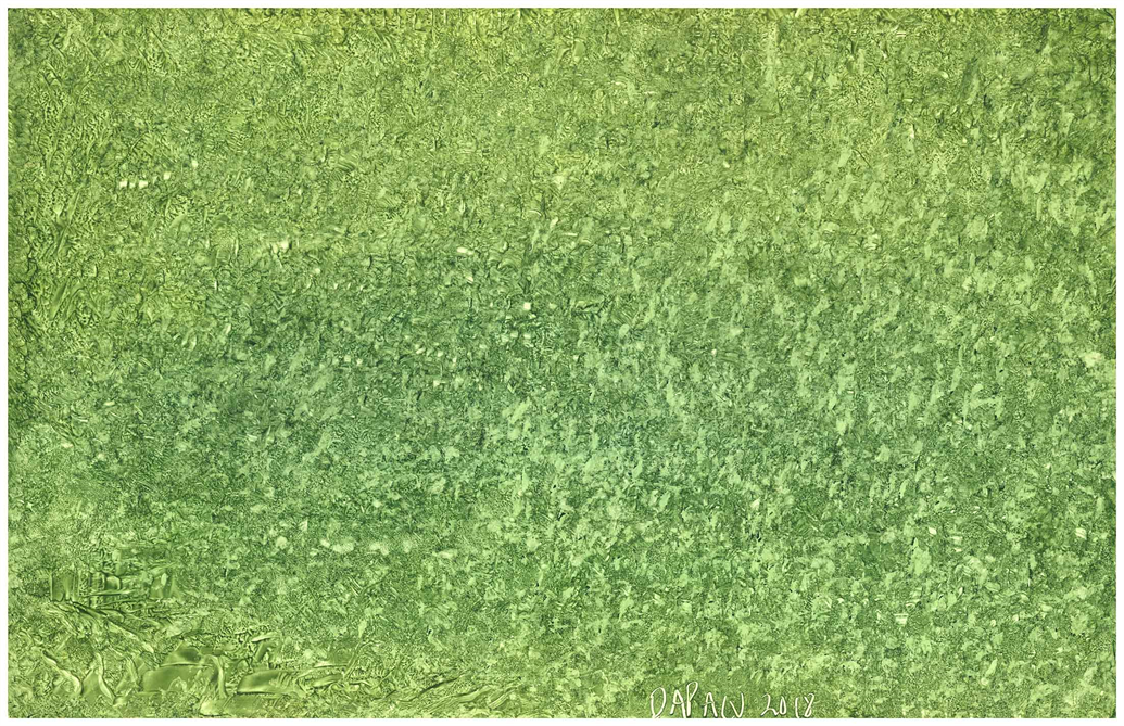 Multidimensional Artist