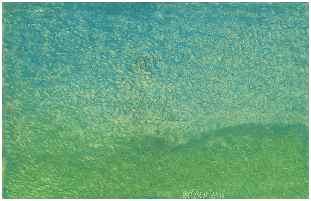 Multidimensional Artist