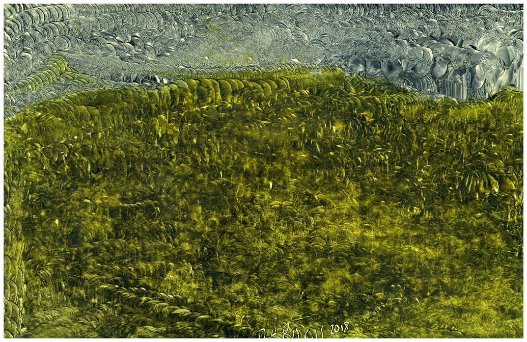 Multidimensional Artist