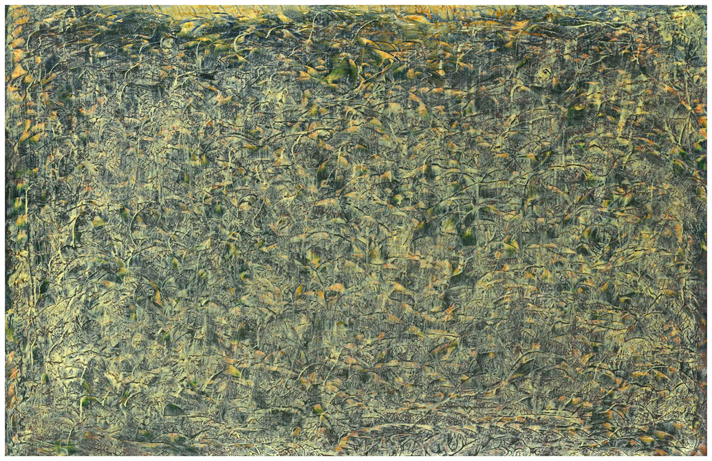 Multidimensional Artist