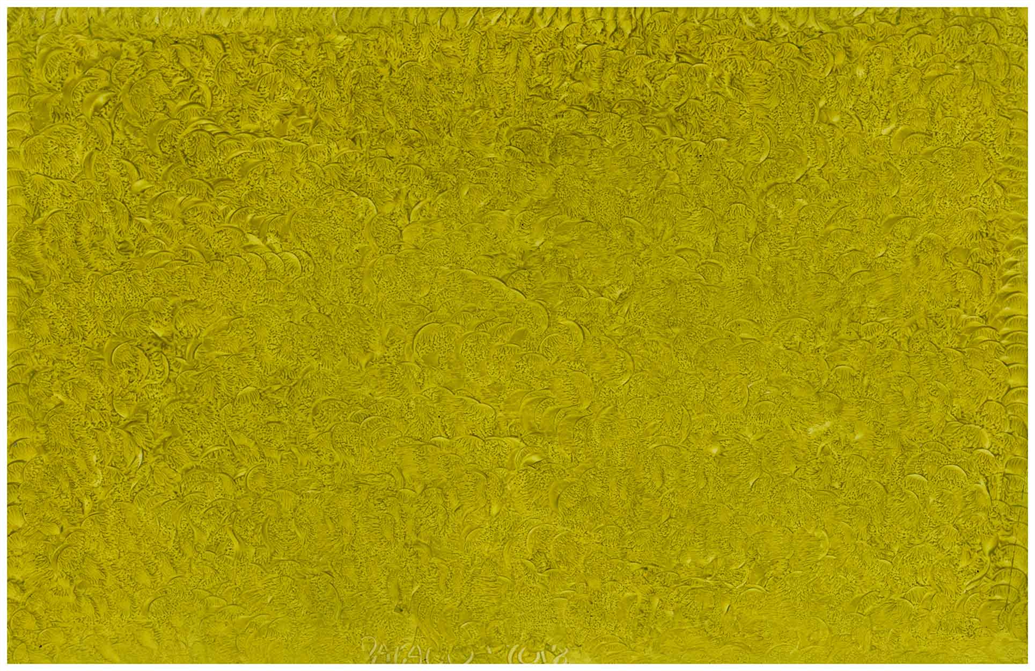 Multidimensional Artist